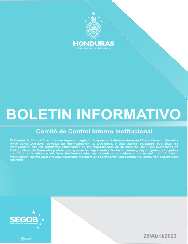 I Trimestre Boletin Informativo 2023